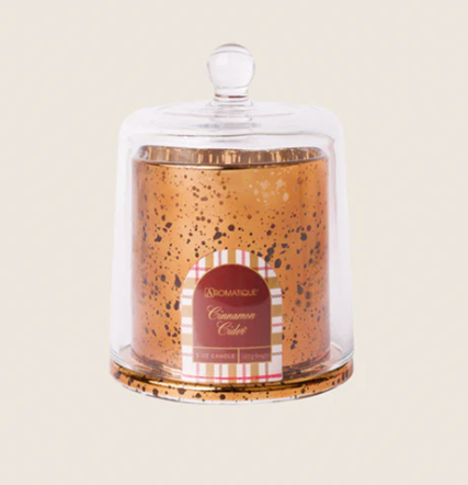 CINNAMON CIDER Aromatique Plaid Cloche Glass 5 oz Scented Jar Candle