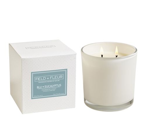 BLU EUCALYPTUS Field + Fleur Reed 2-Wick Whaite Glass 12 oz Scented Jar Candle