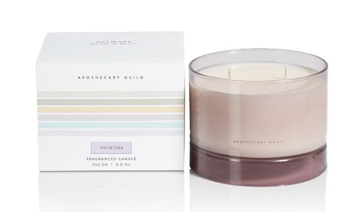 FIG VETIVER Zodax Delmar 2-Wick Scented Jar Candle - 8.8 oz