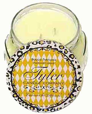 BLUEBERRY BLITZ Tyler 22 oz Scented 2-Wick Jar Candle