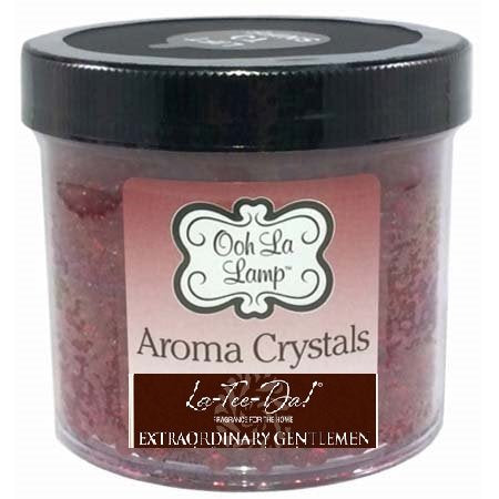 EXTRAORDINARY GENTLEMAN Aroma Crystals for Ooh La Lamp by La Tee Da