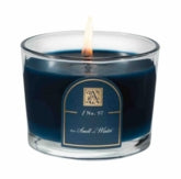 SMELL OF WINTER  Aromatique Petite Tumbler 4.5 oz  Scented Jar Candle