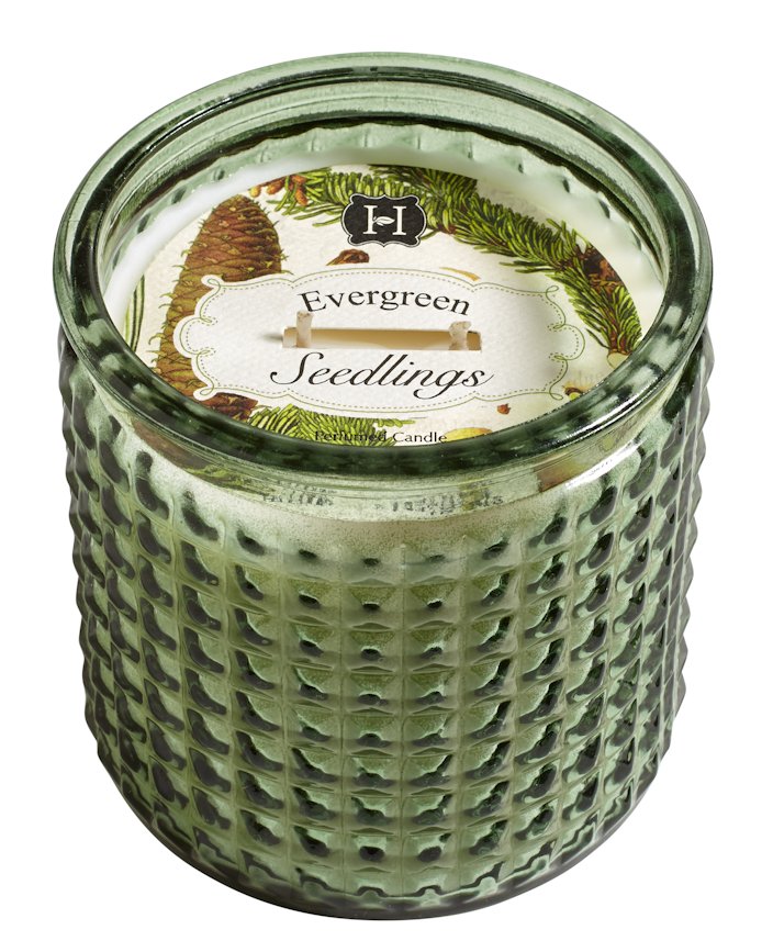 EVERGREEN SEEDLINGS Hillhouse Naturals 15 oz Large Glass Scented Jar Candle