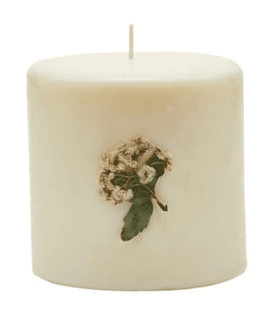 BAY GARLAND Rosy Rings 3.5 Inch 80 Hour Pillar Botanical Scented Candle