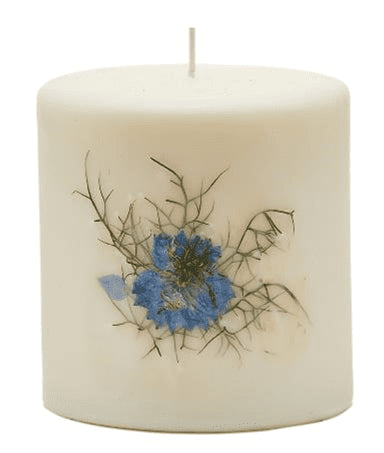 BEACH DAISY Rosy Rings 3.5 Inch 80 Hour Pillar Botanical Scented Candle