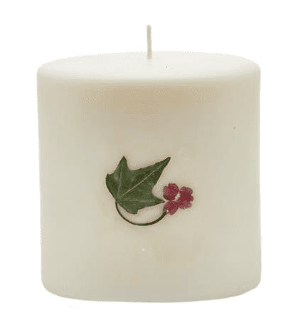 RED CURRANT & CRANBERRY Rosy Rings 3.5 Inch 80 Hour Pillar Botanical Scented Candle