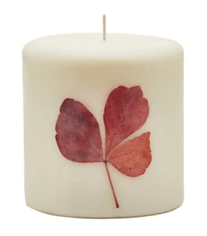 SPICY APPLE Rosy Rings 3.5 Inch 80 Hour Pillar Botanical Scented Candle