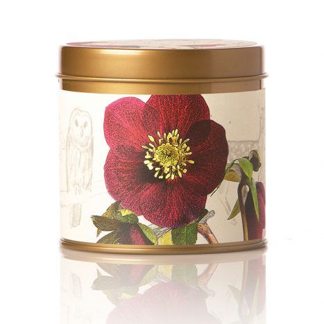 PEONY POMELO Rosy Rings Botanical 8 oz Signature Tin Jar Candle