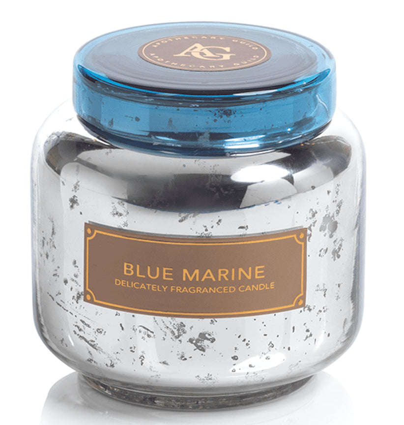 BLUE MARINE Silver Glass Apothecary Guild Zodax 14 oz Scented Jar Candle