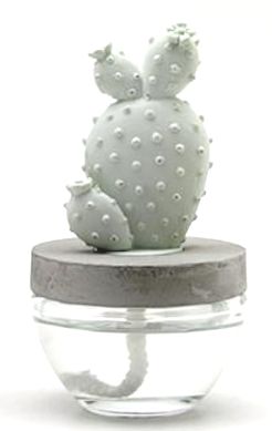 PRICKLY PEAR CACTUS Pretty Valley Ceramic Fragrance Diffuser - White Flower