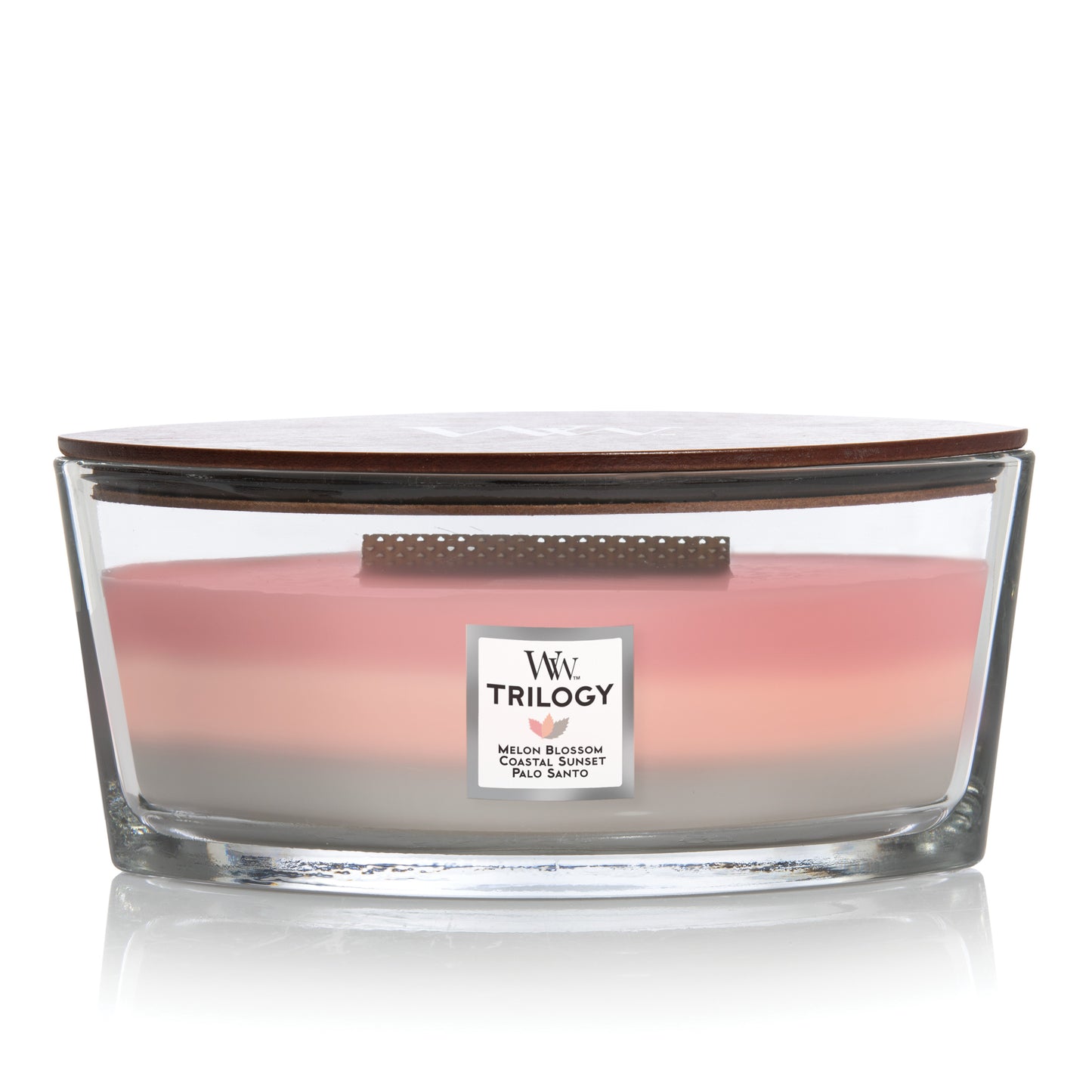 SHORELINE TRILOGY - HearthWick Flame Scented Candle by WoodWick - 3 in One